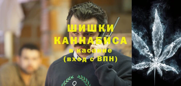 соль ск Алзамай