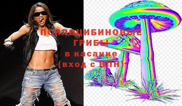 соль ск Алзамай