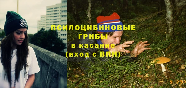 герыч Алексин