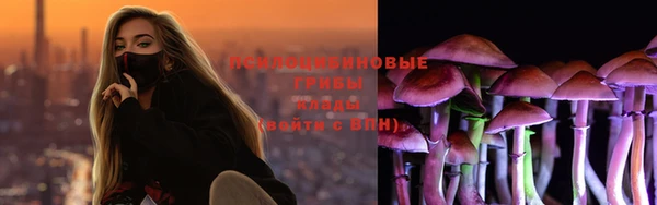 соль ск Алзамай