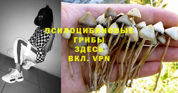 винт Алексеевка