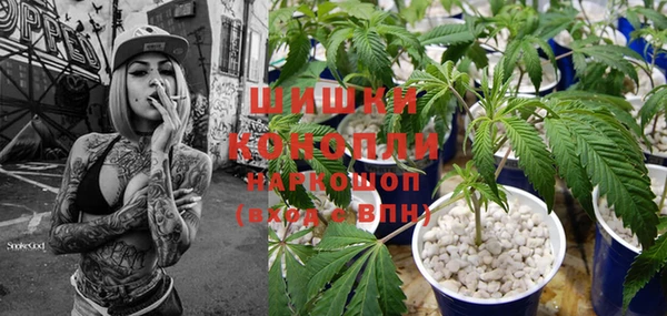 винт Алексеевка